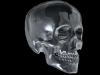 DocPille's Avatar