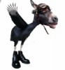 BurroVolador's Avatar