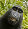 icameasroman's Avatar