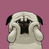 4RRR7Uri0's Avatar