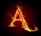 amandda's Avatar